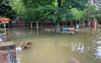 Rinascita attraverso la solidarietà